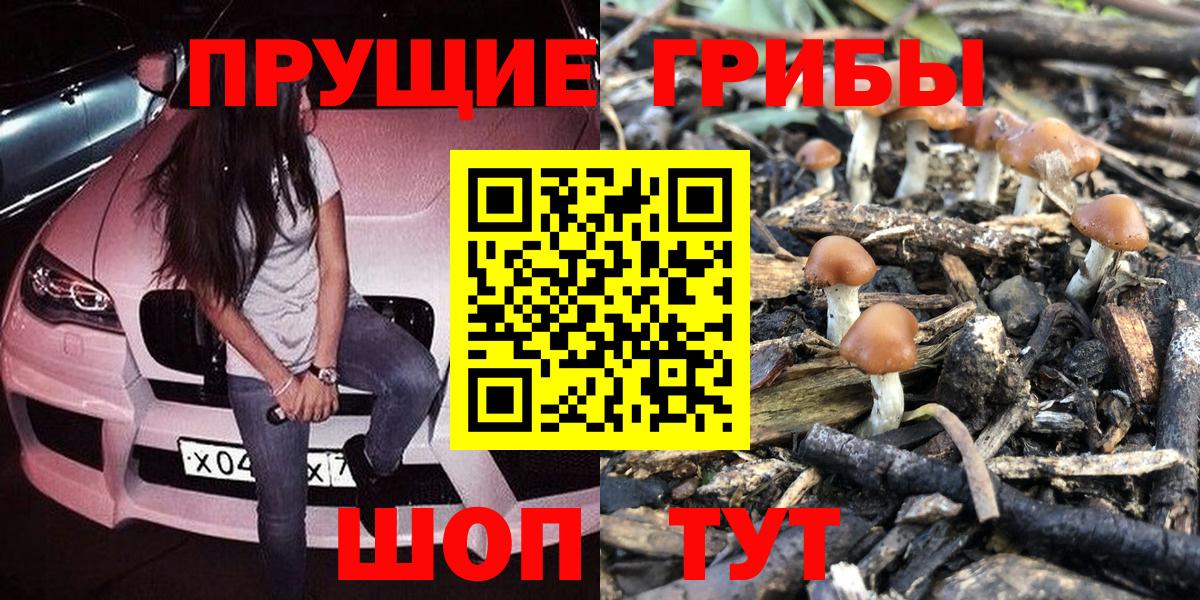 Вятские Поляны  Галлюциногенные грибы Magic Shrooms  Вход с VPN  Галлюциногенные грибы GOLDEN TEACHER 