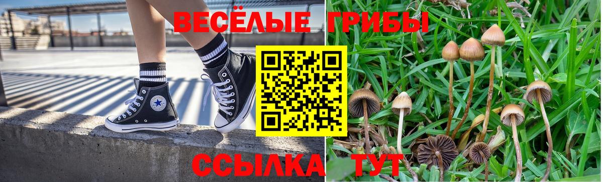 Галлюциногенные грибы Psilocybine cubensis Вятские Поляны